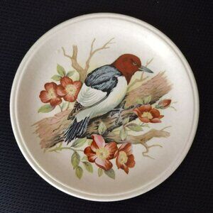 Biltons Stoneware Plate, Red-Headed Woodpecker, Staffordshire Ironstone England